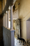 hanham court